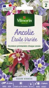 Ancolie Étoile Variée